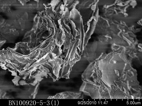 The Mechanical Properties of Hexagonal Boron Nitride